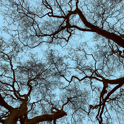 DELICATE STRUCTURES